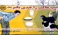 سالم سازی شیر، اقدام مهم پیشگیرانه از بیماری تب مالت